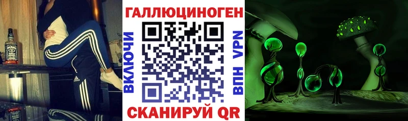 Галлюциногенные грибы Psilocybe  Купить где  Вытегра 